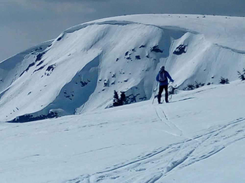 Chata Salicka Bozkov Bozkovska エクステリア 写真